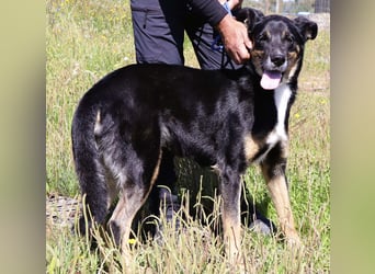 MaMa ❤️ MiMi hat sich aufopferungsvoll gekümmert ~  nun soll auch sie ihr Glück finden