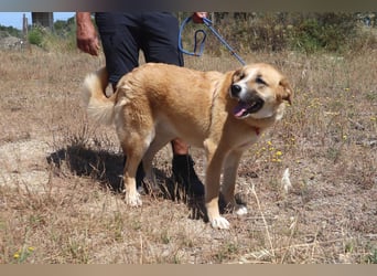 Lieblingsbeschäftigung Kuscheln ❤️ Robina ❤️