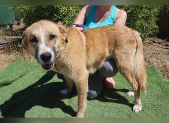 Lieblingsbeschäftigung Kuscheln ❤️ Robina ❤️