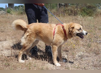 Lieblingsbeschäftigung Kuscheln ❤️ Robina ❤️
