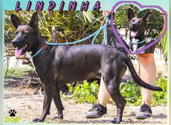 Powerlady Lindinha ❤️ liebt Katzen und Menschen