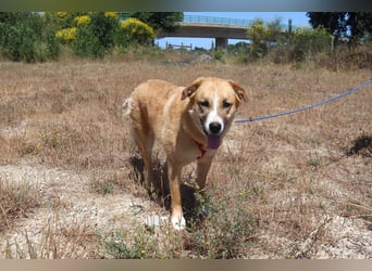 Lieblingsbeschäftigung Kuscheln ❤️ Robina ❤️