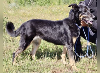 MaMa ❤️ MiMi hat sich aufopferungsvoll gekümmert ~  nun soll auch sie ihr Glück finden