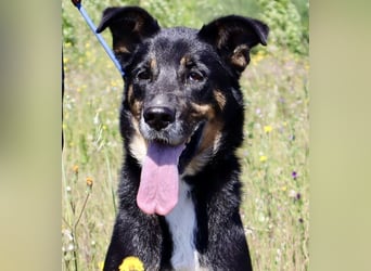 MaMa ❤️ MiMi hat sich aufopferungsvoll gekümmert ~  nun soll auch sie ihr Glück finden