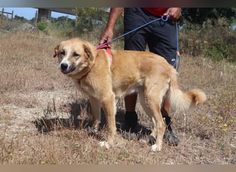 Lieblingsbeschäftigung Kuscheln ❤️ Robina ❤️