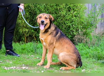 Freundlich – Sanft – Unkompliziert = • P•E•P•E •