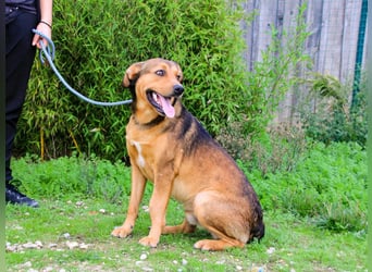 Freundlich – Sanft – Unkompliziert = • P•E•P•E •