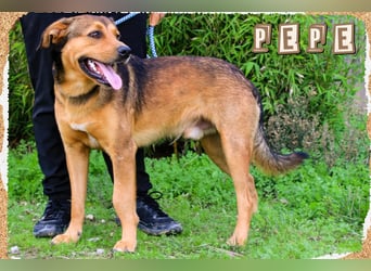 Freundlich – Sanft – Unkompliziert = • P•E•P•E •