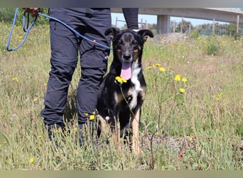 MaMa ❤️ MiMi hat sich aufopferungsvoll gekümmert ~  nun soll auch sie ihr Glück finden