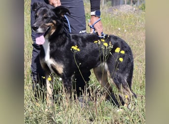 MaMa ❤️ MiMi hat sich aufopferungsvoll gekümmert ~  nun soll auch sie ihr Glück finden