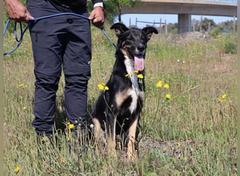 MaMa ❤️ MiMi hat sich aufopferungsvoll gekümmert ~  nun soll auch sie ihr Glück finden