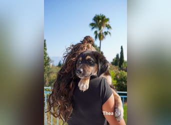Thea und ihre Geschwister suchen noch ein Zuhause