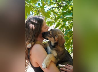 Thea und ihre Geschwister suchen noch ein Zuhause