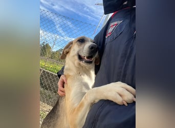 Kelly sucht Sie/Dich!