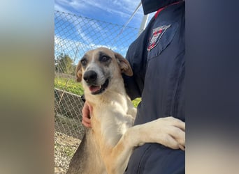 Kelly sucht Sie/Dich!