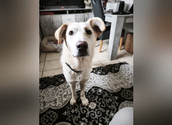 Hope hat es fast geschafft!