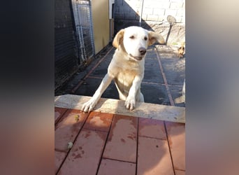 Hope hat es fast geschafft!