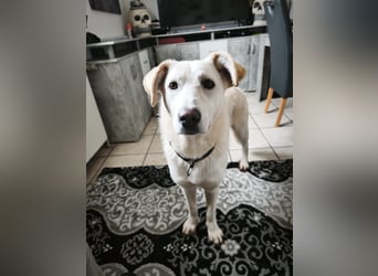 Hope hat es fast geschafft!