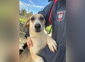 Kelly sucht Sie/Dich!