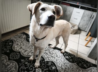 Hope hat es fast geschafft!