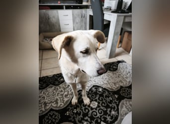 Hope hat es fast geschafft!