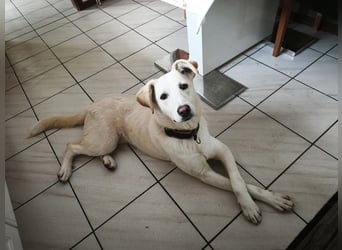 Hope hat es fast geschafft!