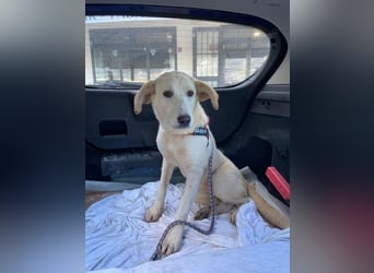 Hope hat es fast geschafft!