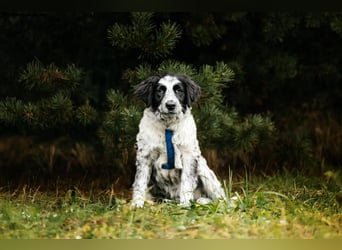 Lebensfroher Janko sucht seine Menschen