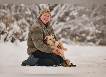Hübsche Lissy sucht warmes Körbchen