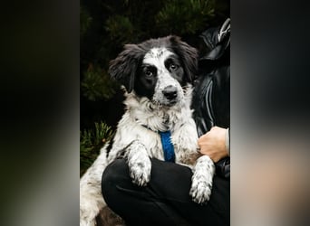 Lebensfroher Janko sucht seine Menschen