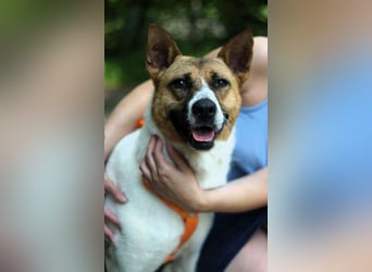 Freundliche Jenny sucht ihre Familie