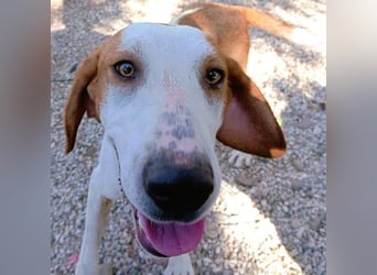 Cracker 10/2021 (in Deutschland) - ein treuer Begleiter!