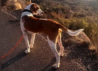 Cracker 10/2021 (in Deutschland) - ein treuer Begleiter!