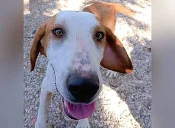 Cracker 10/2021 (in Deutschland) - ein treuer Begleiter!