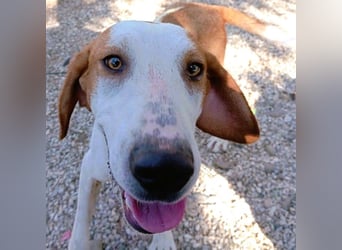 Cracker 10/2021 (in Deutschland) - ein treuer Begleiter!