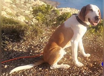 Cracker 10/2021 (in Deutschland) - ein treuer Begleiter!