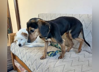 Gundi – vorsichtig und zurückhaltend 