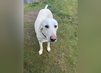 Mina ist voller Lebensfreude und guter Laune, bereits auf PS in DE!