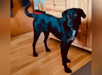 Mila möchte gerne ankommen, bereits in 47495 Rheinberg/NRW!