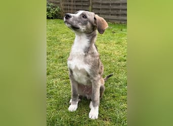 Horst – immer gut gelaunt und bereits in DE