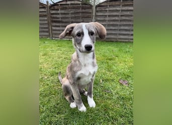 Horst – immer gut gelaunt und bereits in DE