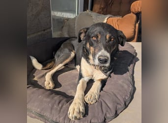 Ella – charmante Persönlichkeit mit Herz 