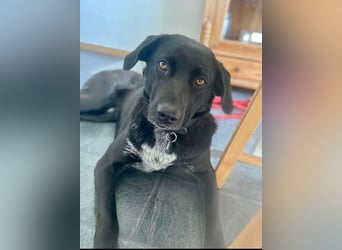 Mila möchte gerne ankommen, bereits in 47495 Rheinberg/NRW!