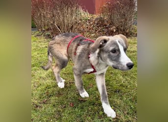 Horst – immer gut gelaunt und bereits in DE