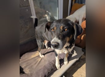 Ella – charmante Persönlichkeit mit Herz 