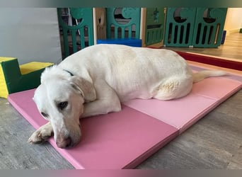 Mina ist voller Lebensfreude und guter Laune, bereits auf PS in DE!