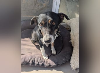 Ella – charmante Persönlichkeit mit Herz 