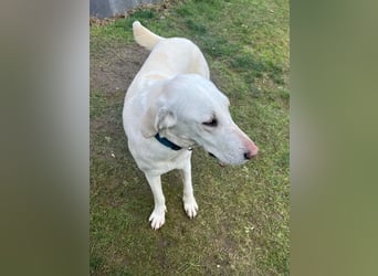 Mina ist voller Lebensfreude und guter Laune, bereits auf PS in DE!