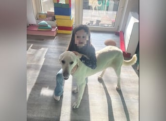 Mina ist voller Lebensfreude und guter Laune, bereits auf PS in DE!