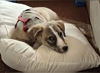 Horst – immer gut gelaunt und bereits in DE